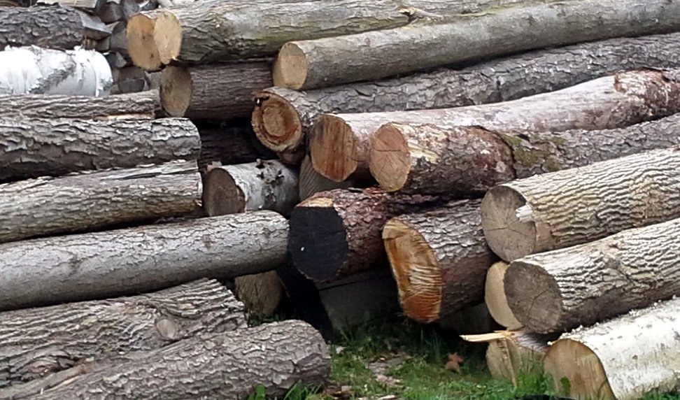 logs